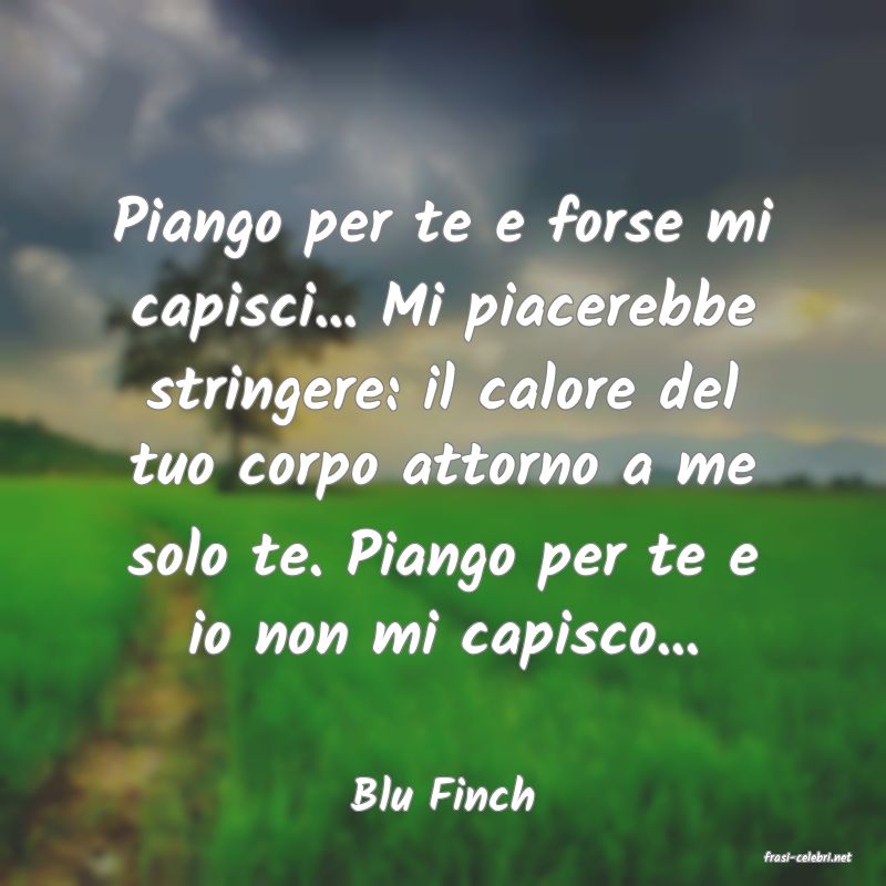frasi di Blu Finch