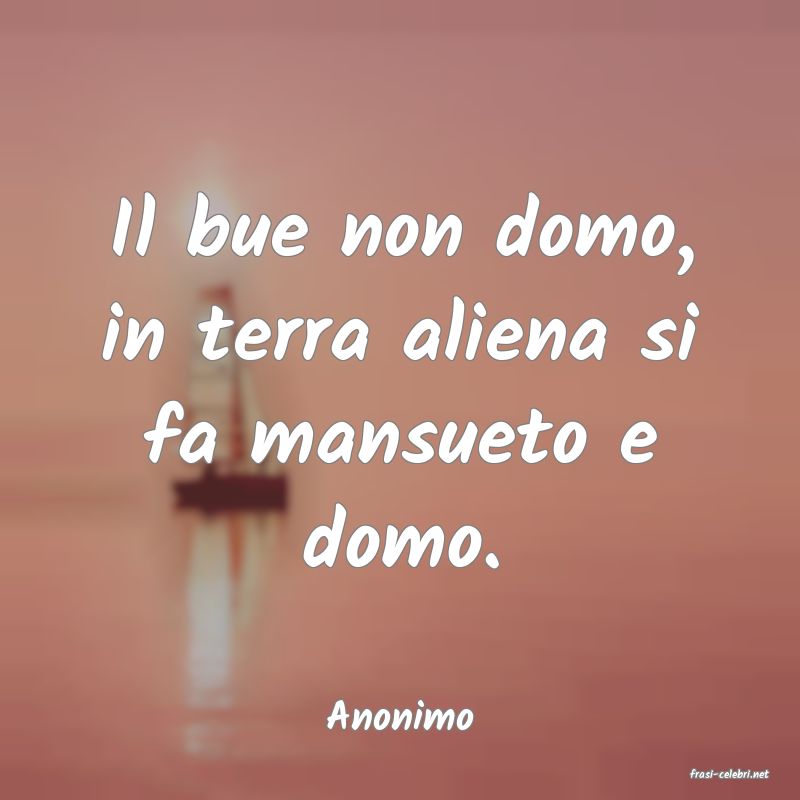 frasi di Anonimo