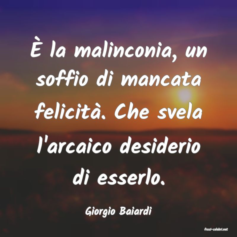 frasi di Giorgio Baiardi