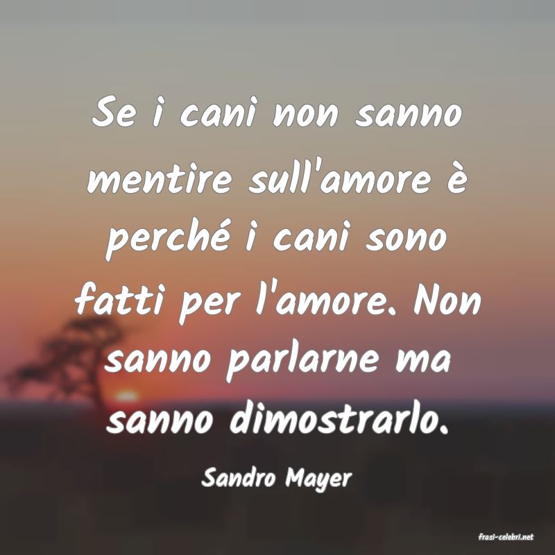 frasi di  Sandro Mayer
