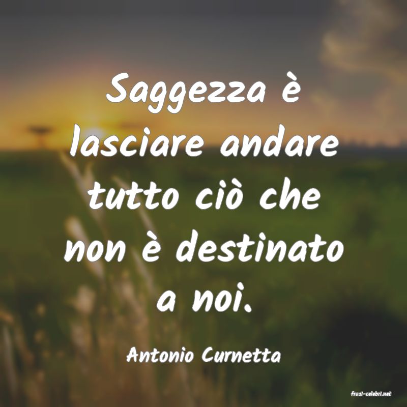 frasi di  Antonio Curnetta
