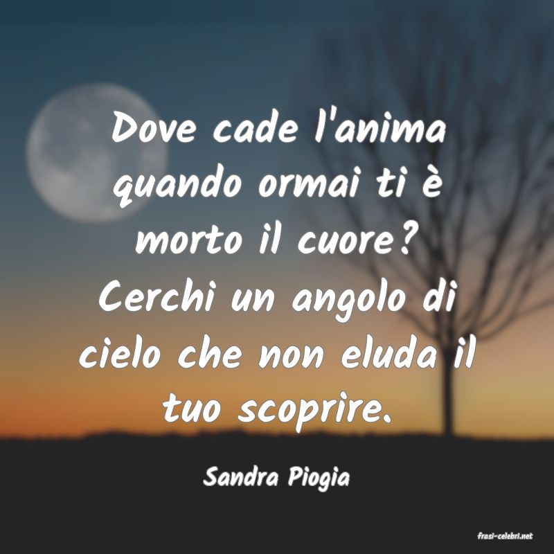 frasi di  Sandra Piogia
