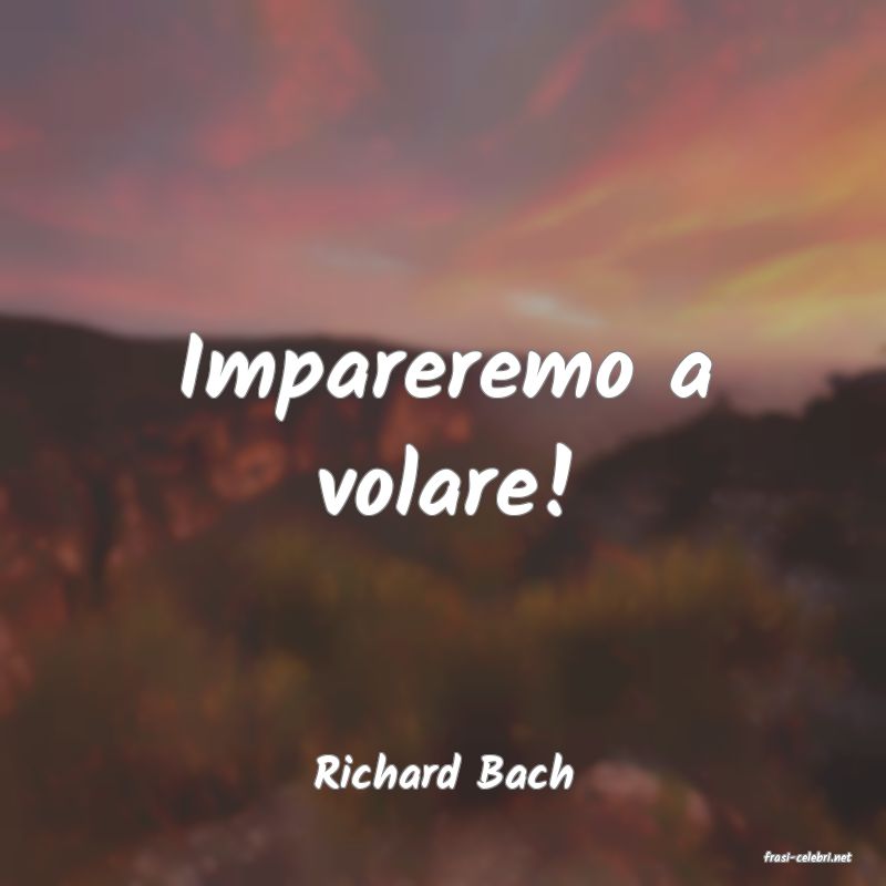 frasi di  Richard Bach
