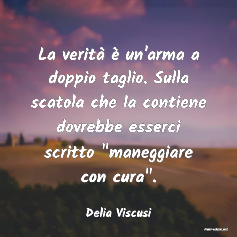 frasi di Delia Viscusi