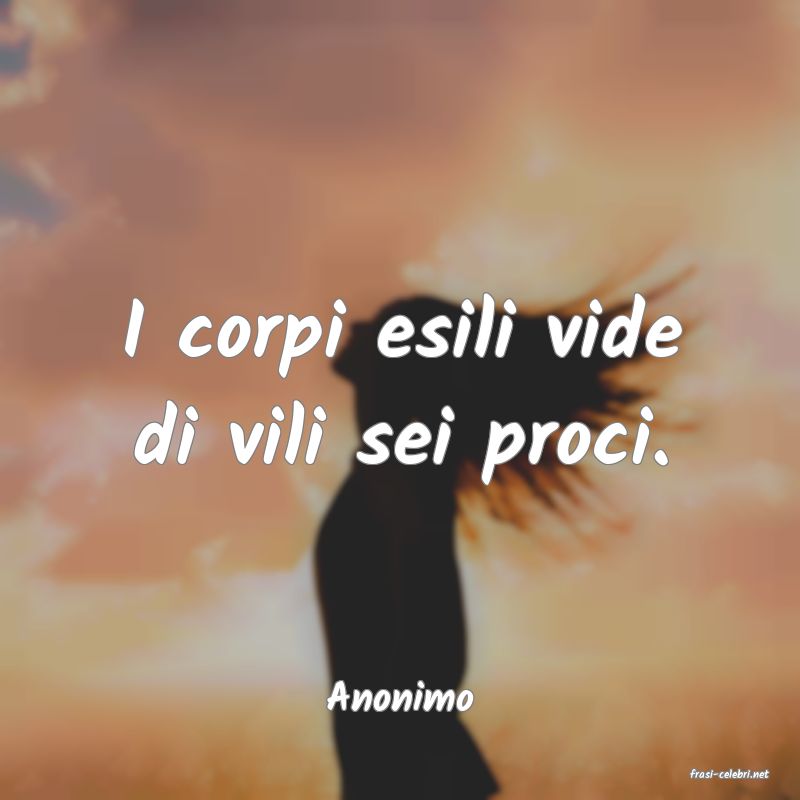 frasi di  Anonimo
