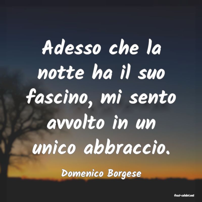frasi di  Domenico Borgese
