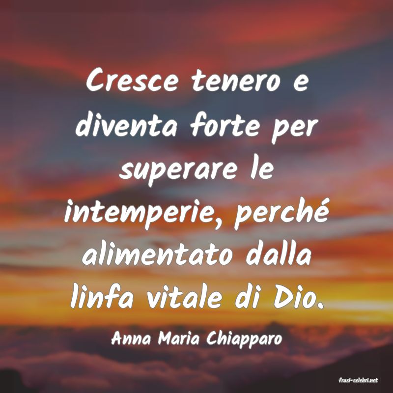 frasi di  Anna Maria Chiapparo
