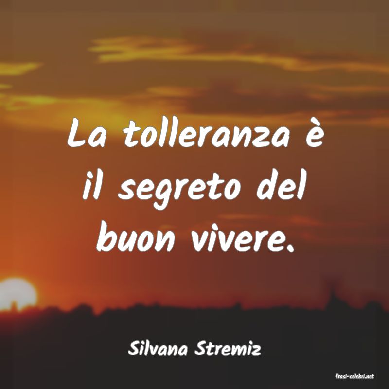 frasi di Silvana Stremiz