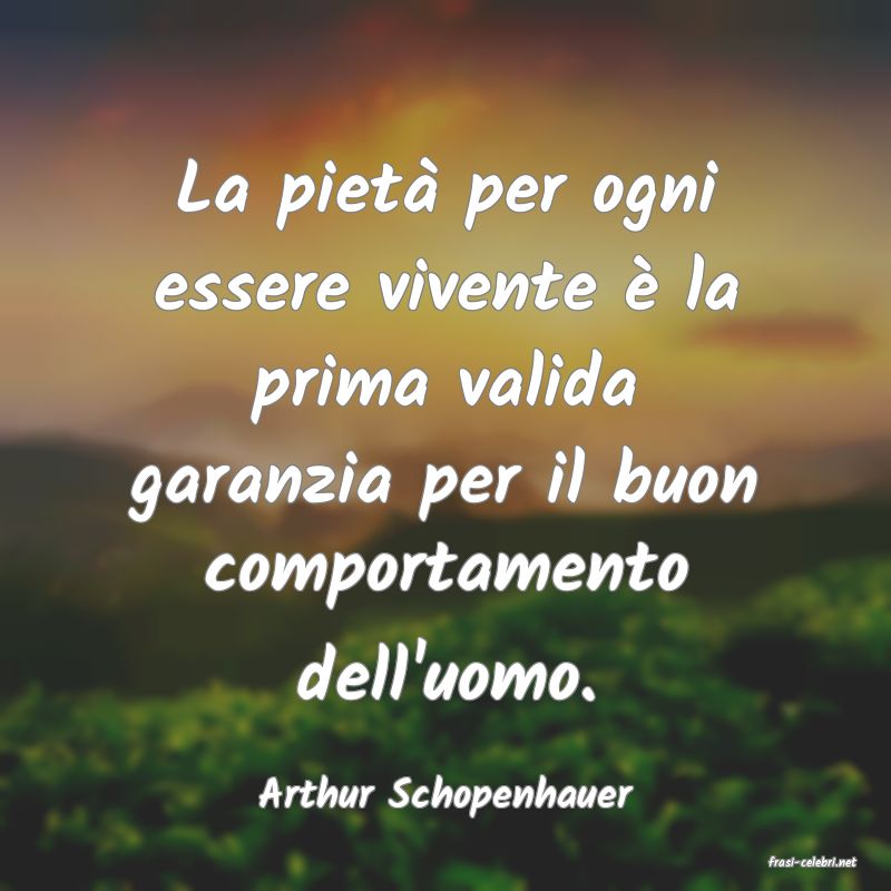 frasi di Arthur Schopenhauer