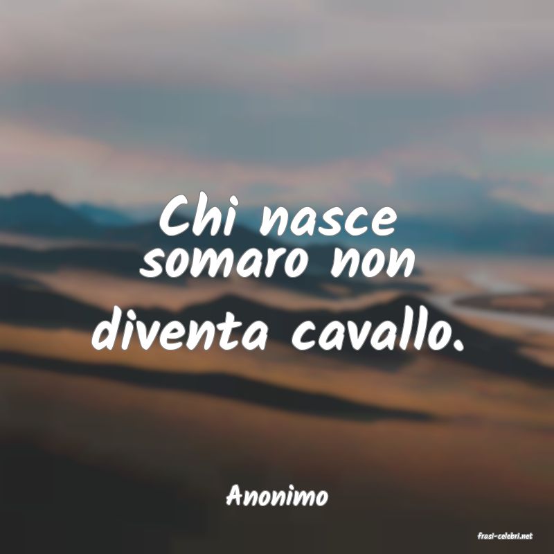 frasi di Anonimo