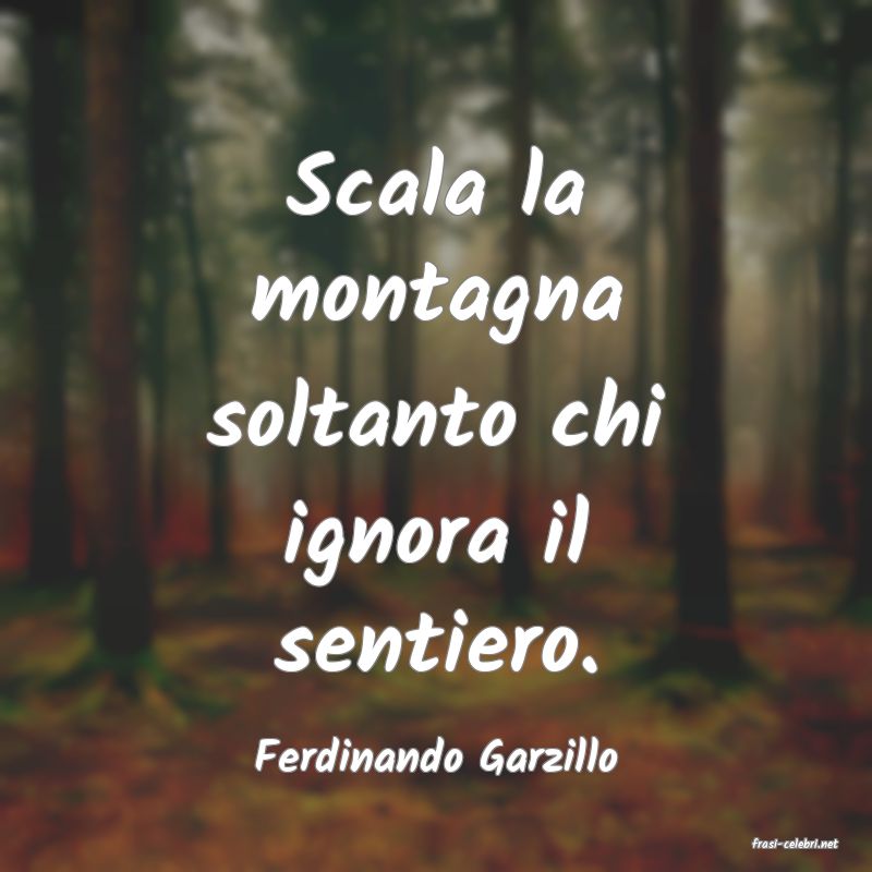 frasi di  Ferdinando Garzillo
