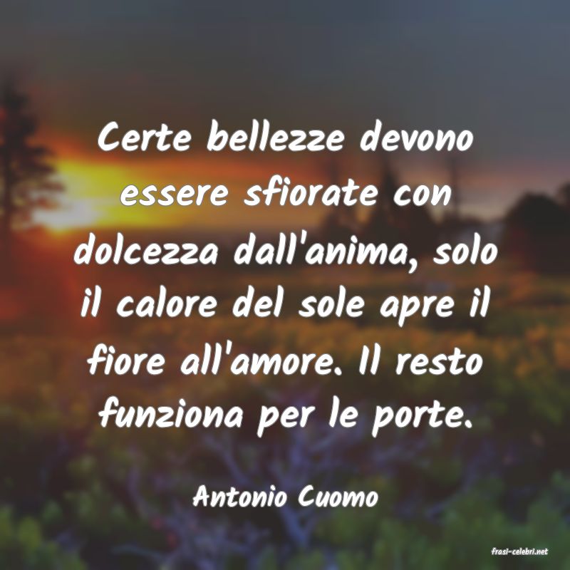frasi di  Antonio Cuomo
