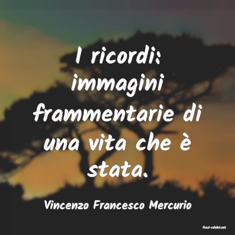 frasi di  Vincenzo Francesco Mercurio
