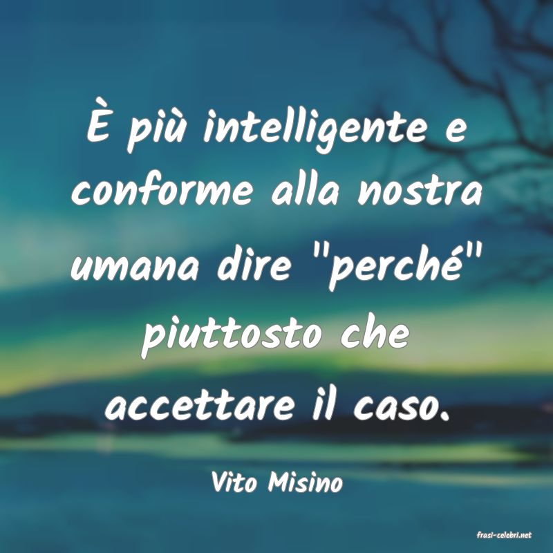 frasi di  Vito Misino
