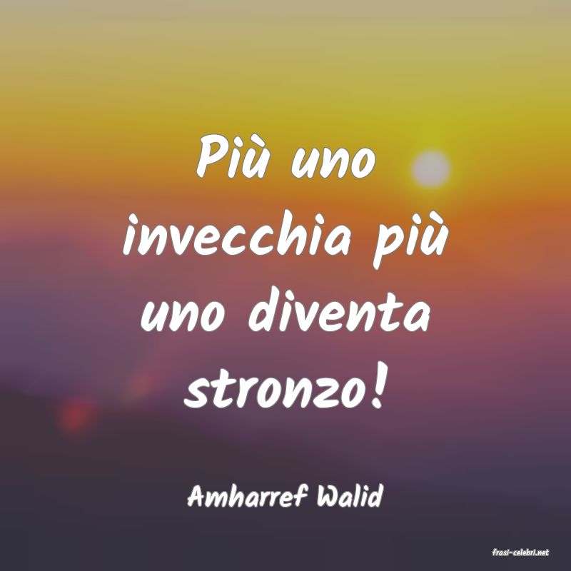 frasi di  Amharref Walid
