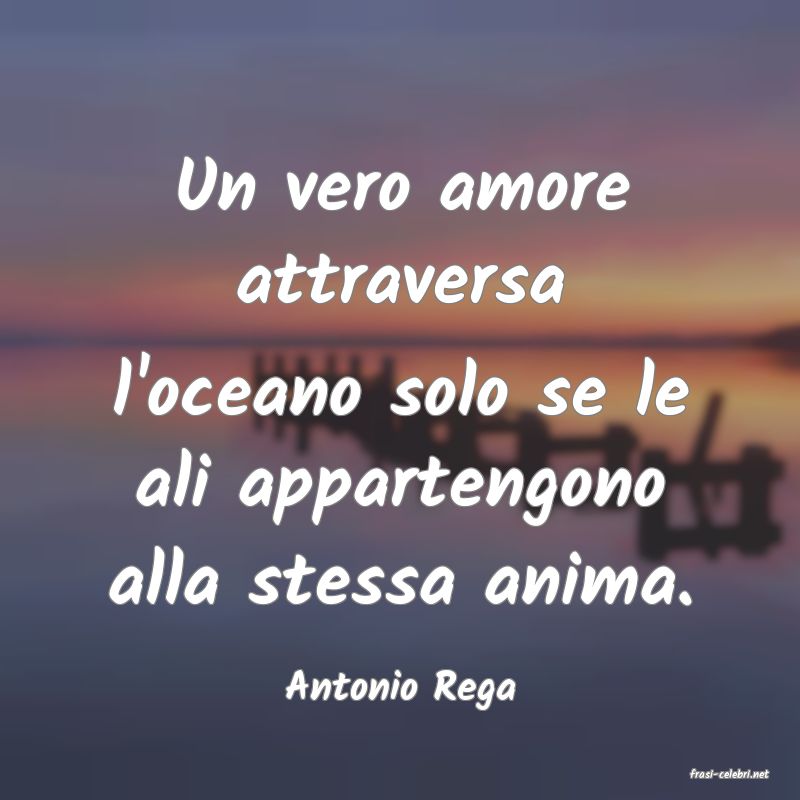 frasi di  Antonio Rega
