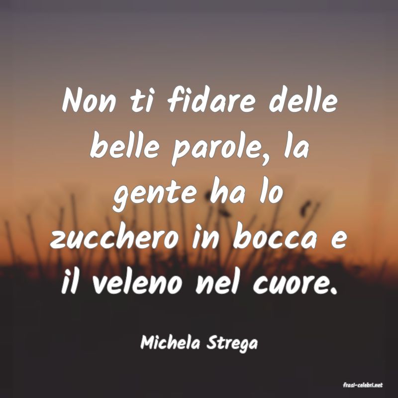 frasi di  Michela Strega
