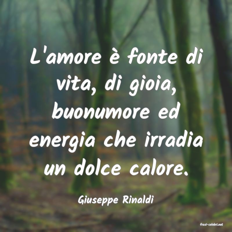 frasi di  Giuseppe Rinaldi
