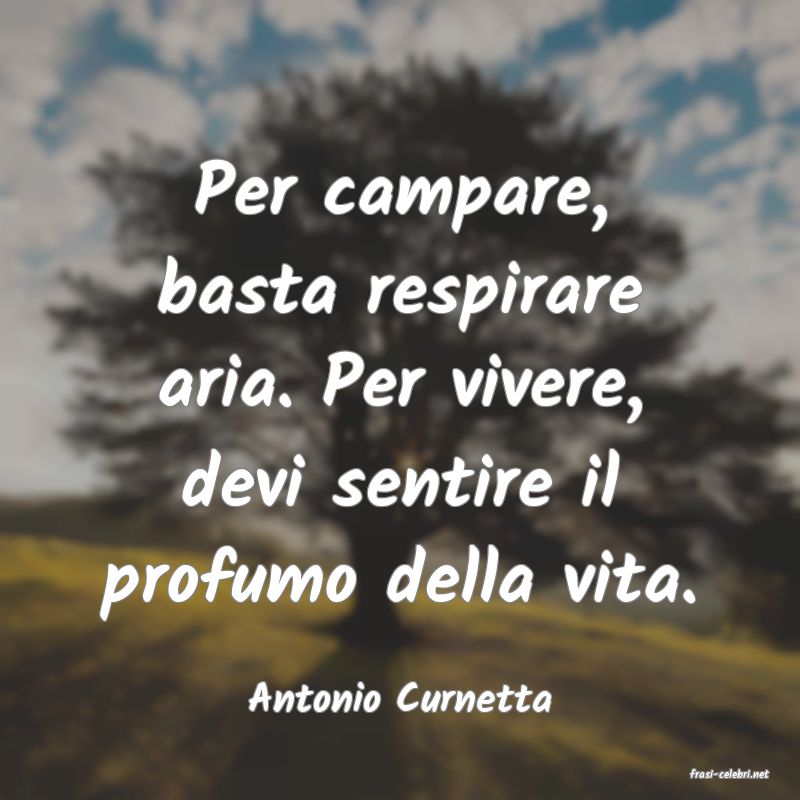 frasi di  Antonio Curnetta
