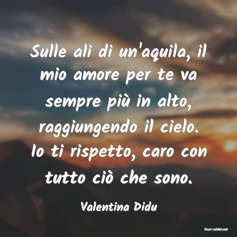frasi di  Valentina Didu
