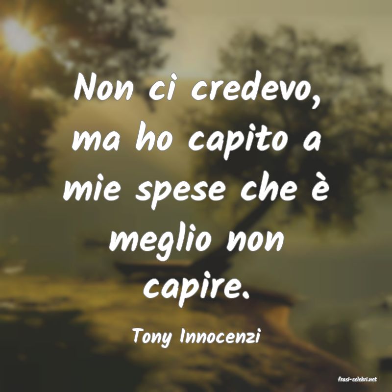 frasi di  Tony Innocenzi
