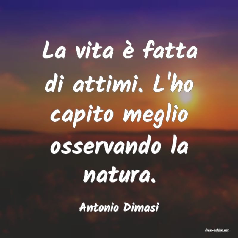frasi di  Antonio Dimasi
