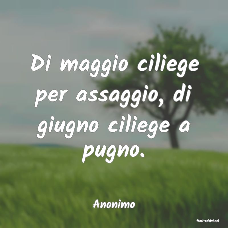 frasi di Anonimo