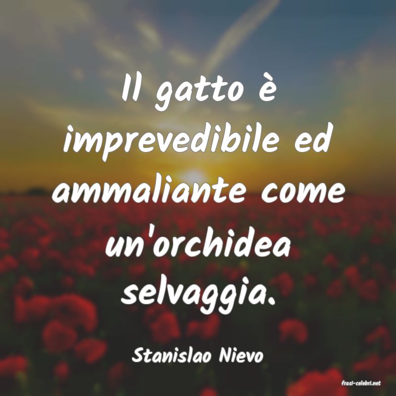 frasi di Stanislao Nievo