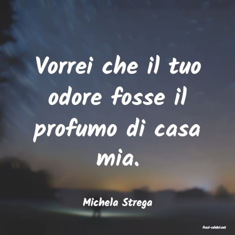 frasi di  Michela Strega
