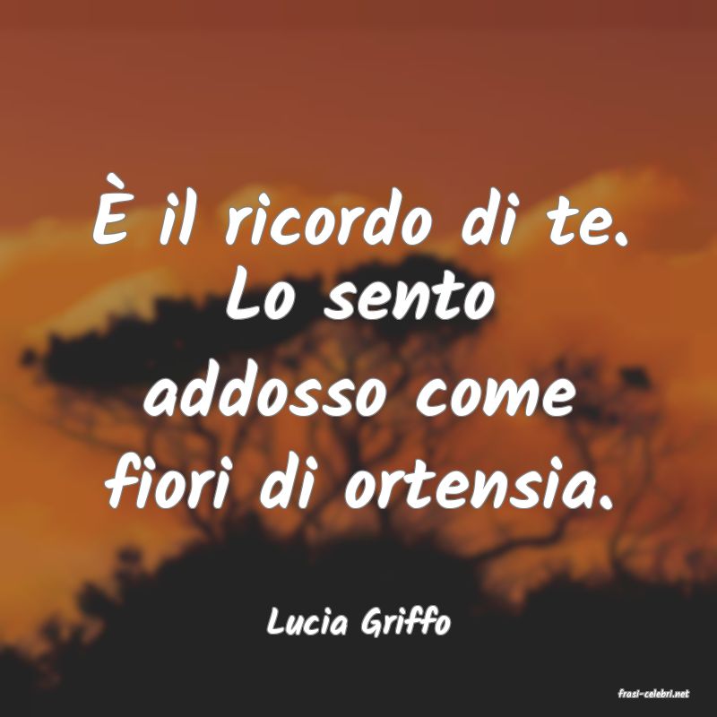 frasi di  Lucia Griffo
