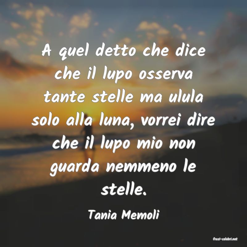 frasi di  Tania Memoli
