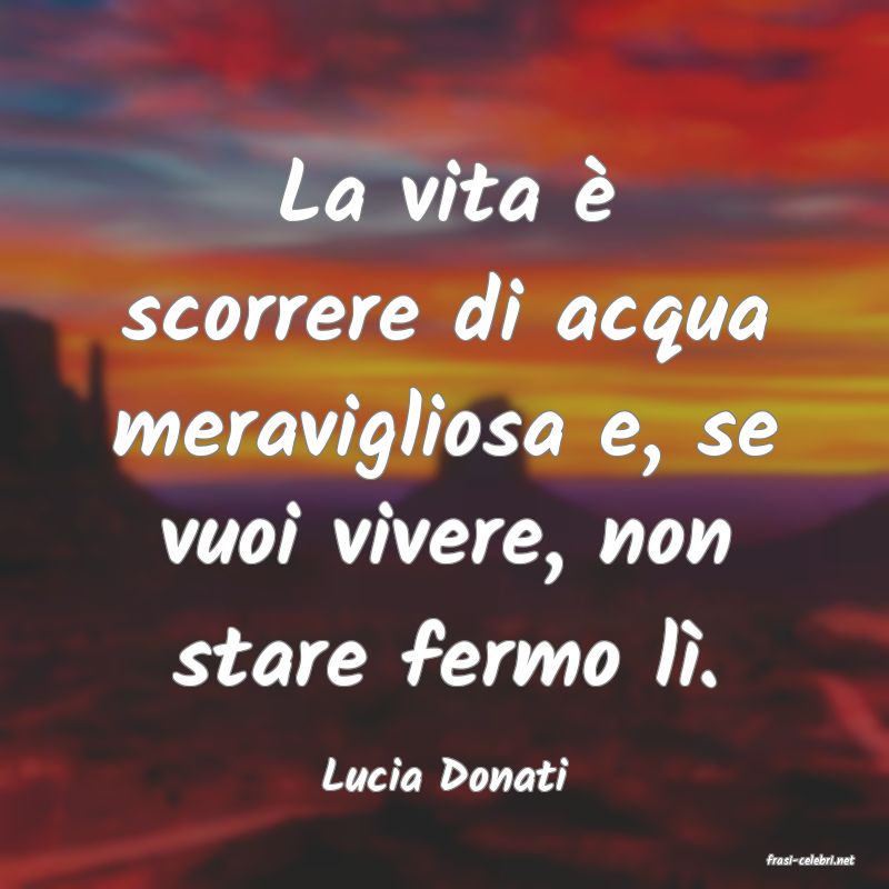 frasi di Lucia Donati