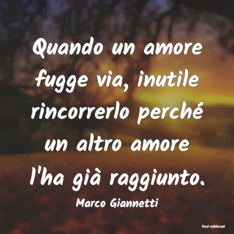 frasi di  Marco Giannetti
