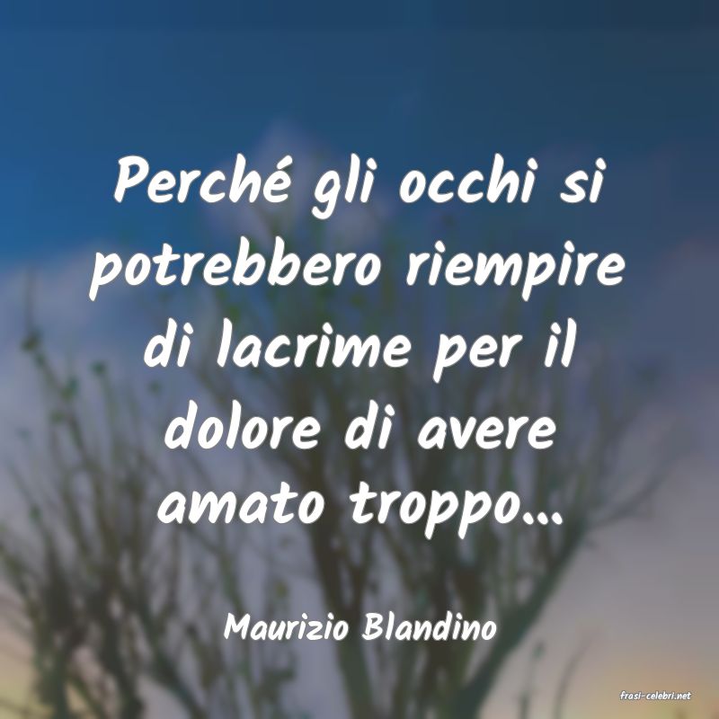 frasi di  Maurizio Blandino
