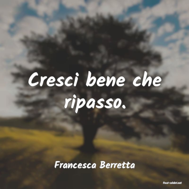 frasi di  Francesca Berretta
