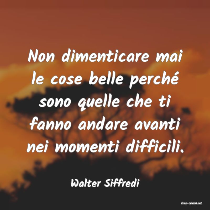 frasi di  Walter Siffredi
