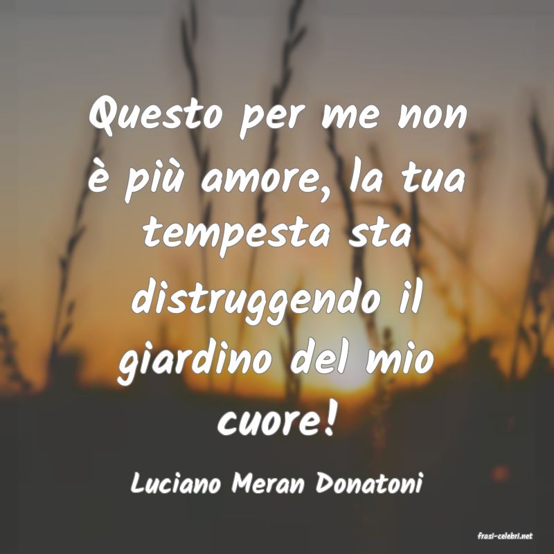 frasi di  Luciano Meran Donatoni
