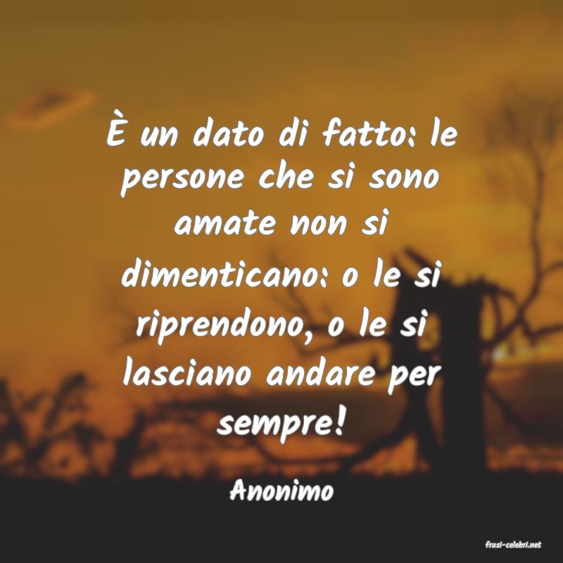 frasi di  Anonimo
