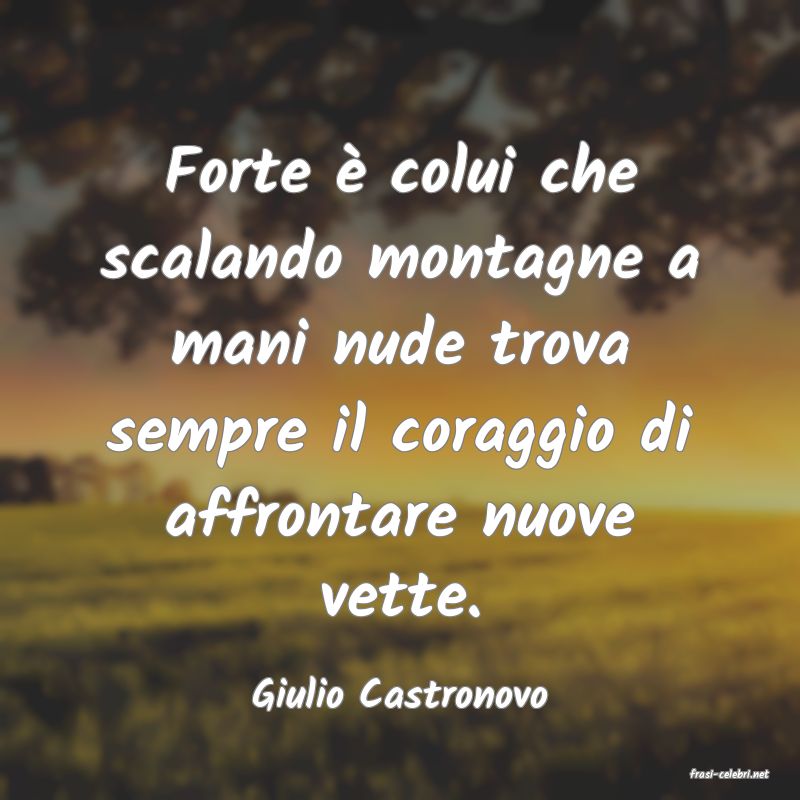 frasi di  Giulio Castronovo
