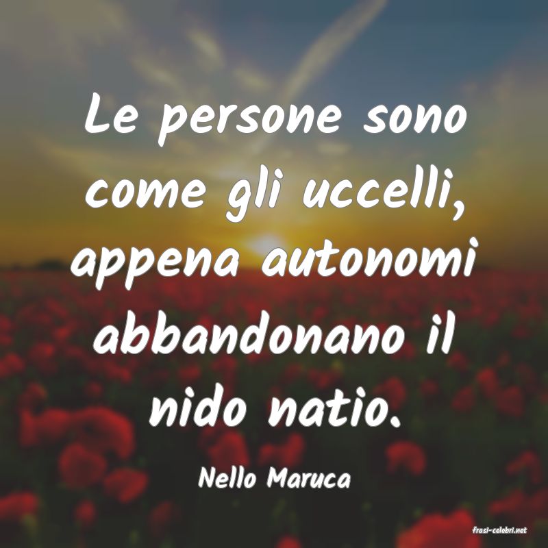 frasi di  Nello Maruca
