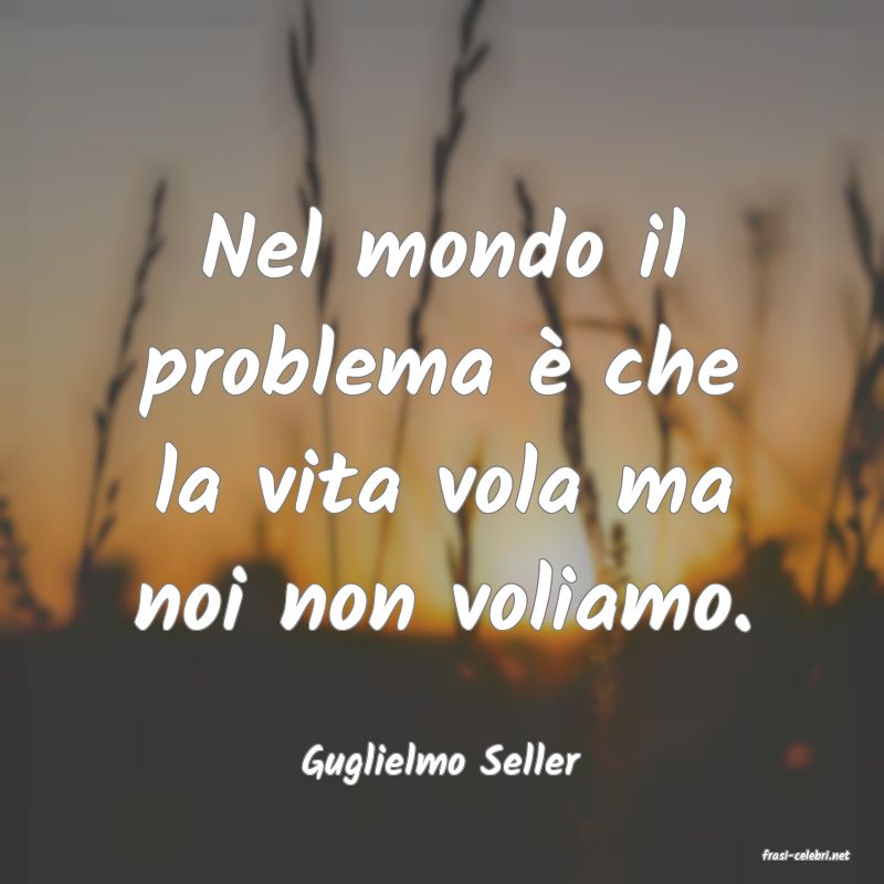frasi di  Guglielmo Seller
