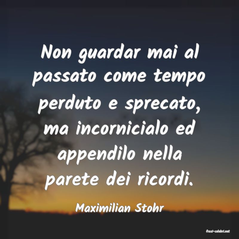 frasi di  Maximilian Stohr
