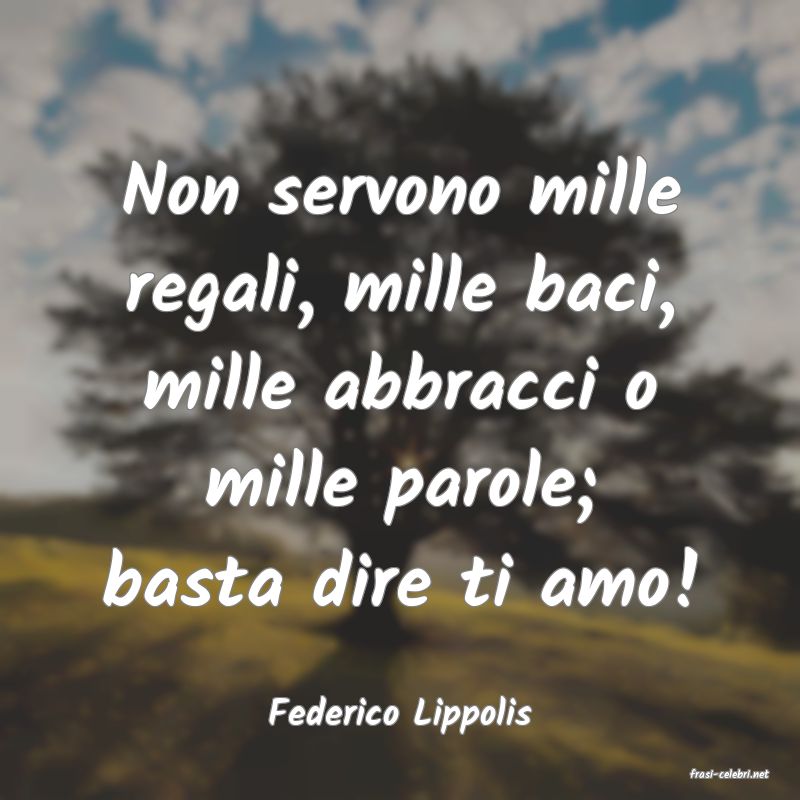 frasi di Federico Lippolis