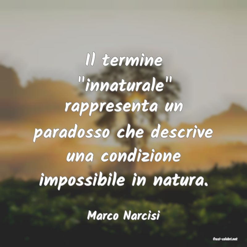 frasi di  Marco Narcisi
