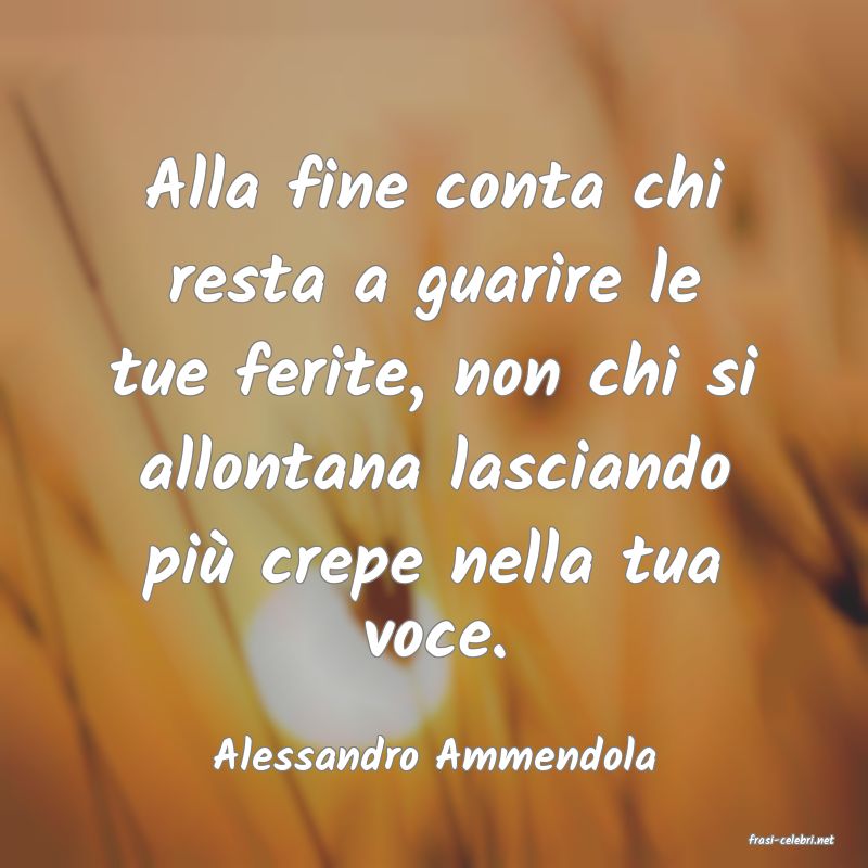 frasi di  Alessandro Ammendola
