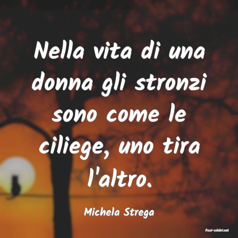 frasi di Michela Strega