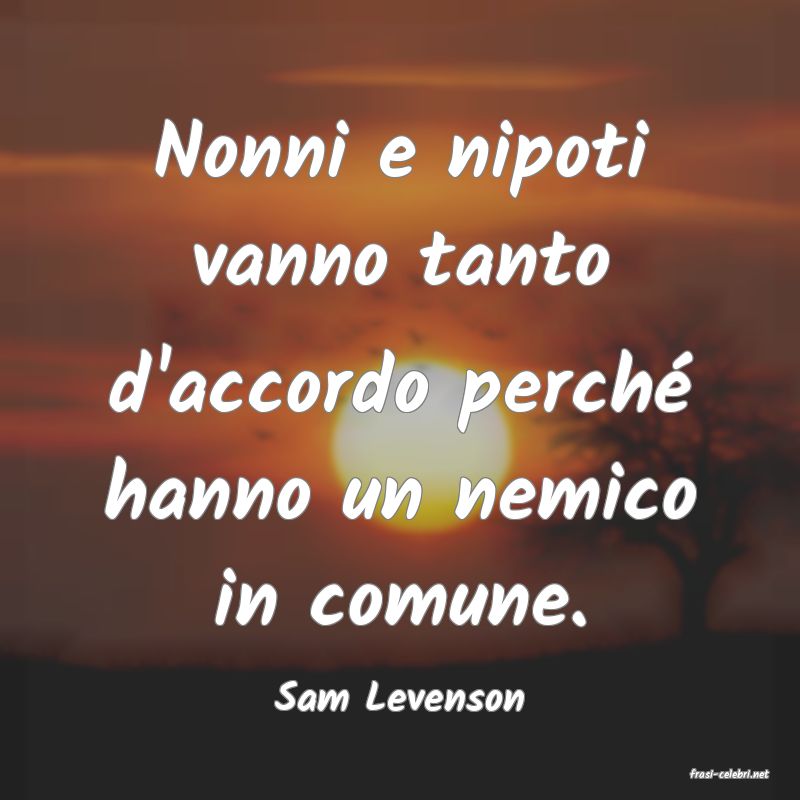 frasi di  Sam Levenson
