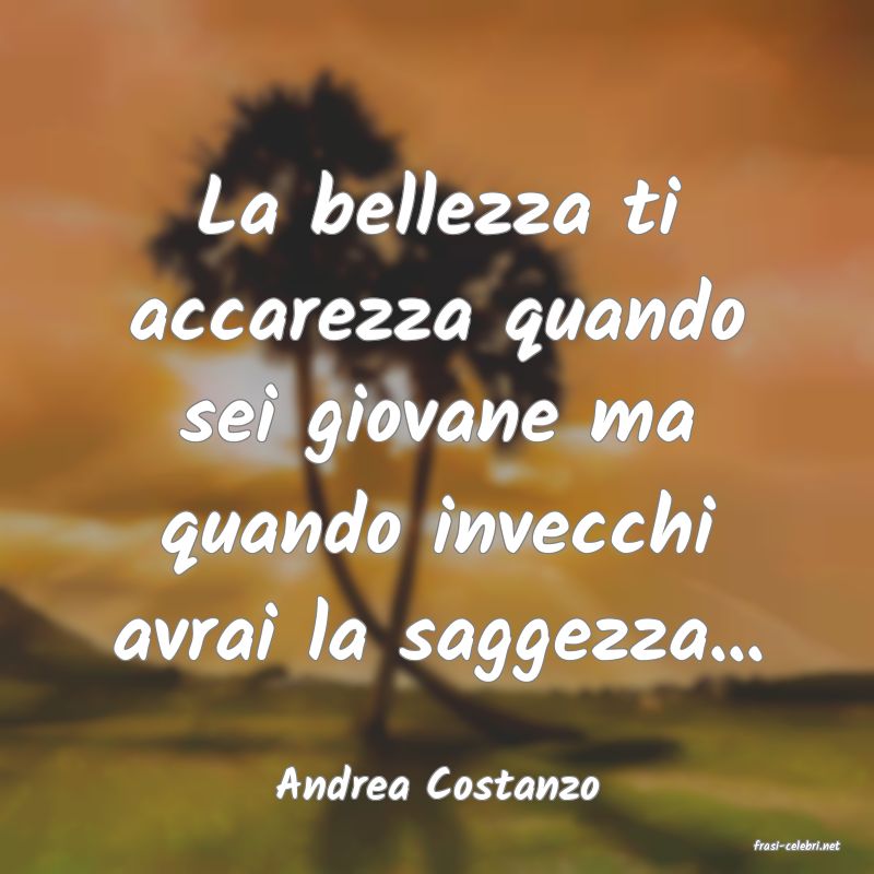 frasi di Andrea Costanzo