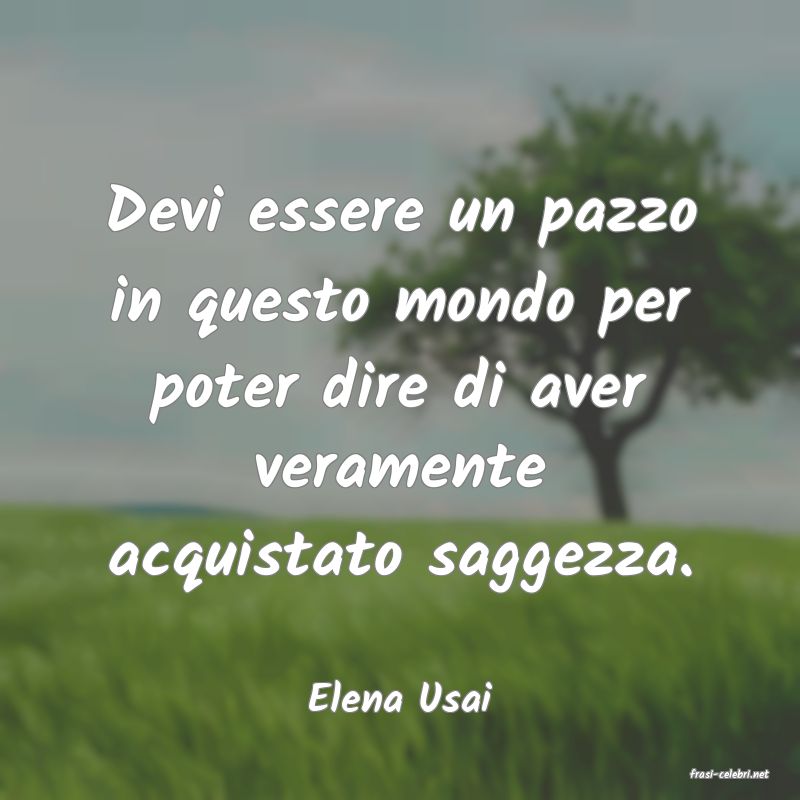 frasi di  Elena Usai
