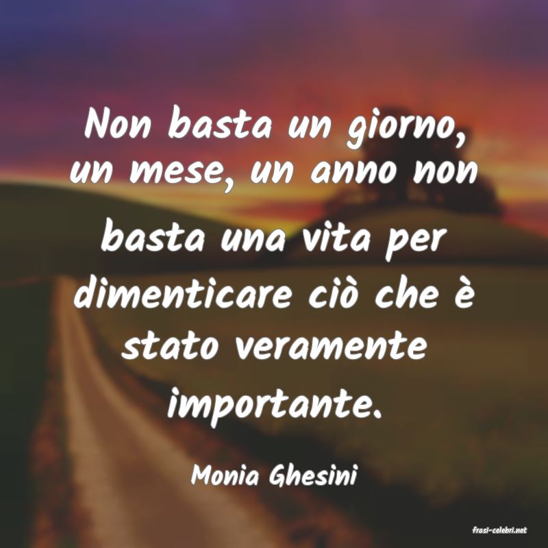 frasi di  Monia Ghesini
